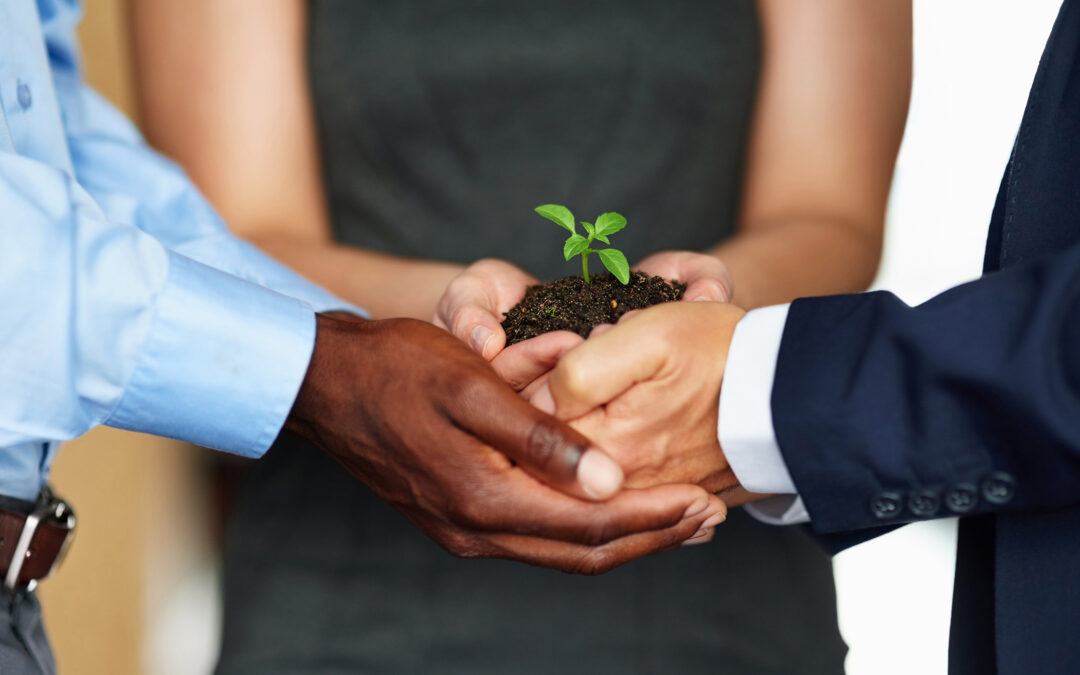 COP-26 and The Big Impact on Business